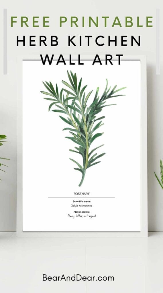 Rosemary Watercolor Wall Prints 