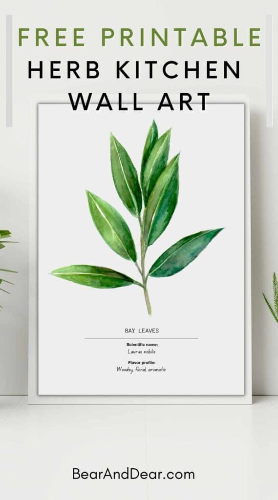 Free Bay leaf Wall Decor
