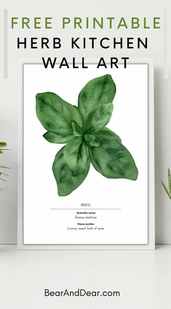 free Basil's Kitchen Wall Print