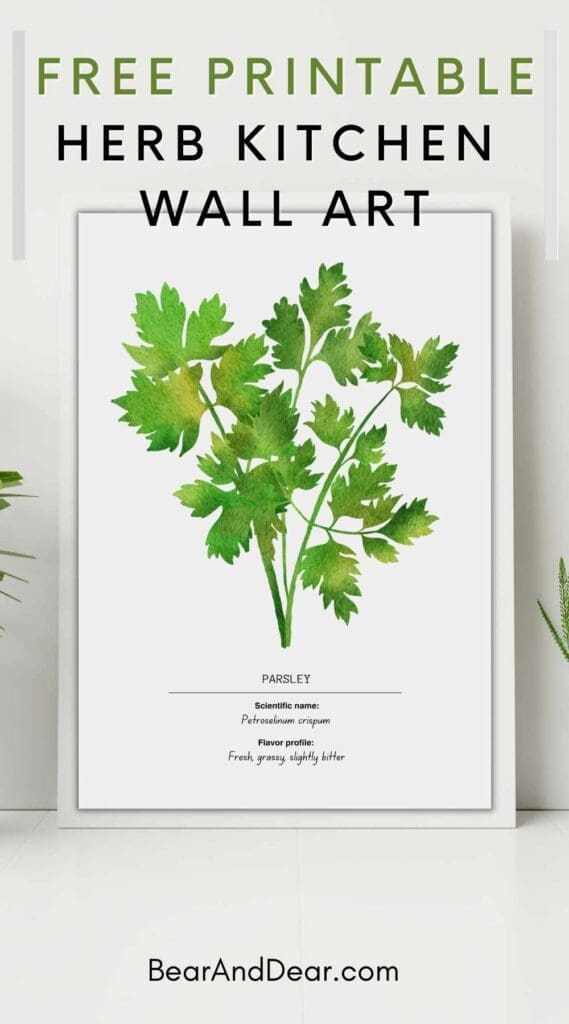 free Parsley Art Print