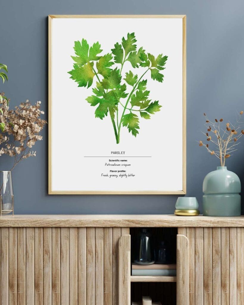 6. Parsley Art Print