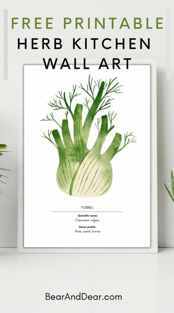 free Fennel Kitchen Wall Art