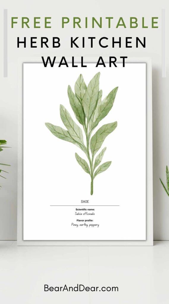 free Sage Herbs Kitchen Wall Art