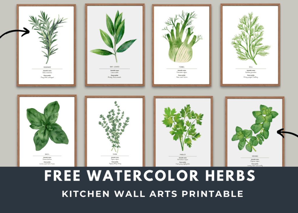Free Herbs Kitchen Wall Art Printables to Decorate the Farmhouse