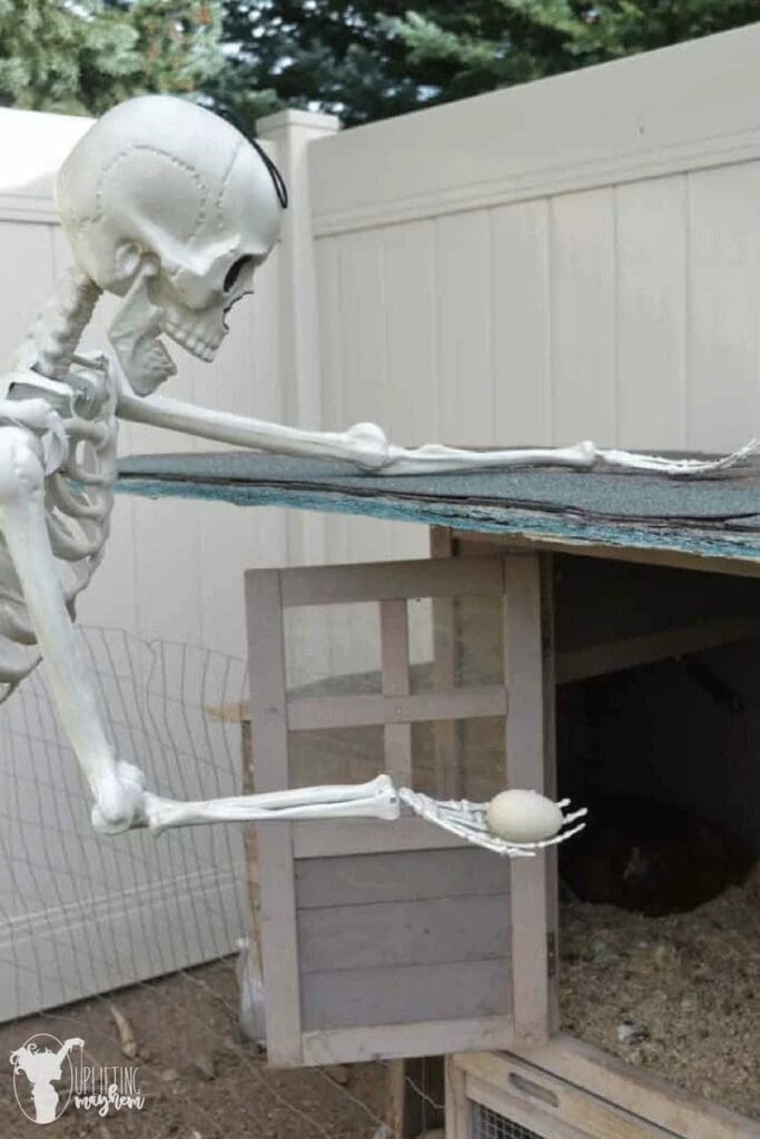 6. The Farmer Skeleton