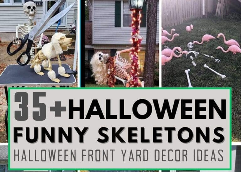30+ Funny Skeleton Front Yard Decor Ideas: The Perfect Halloween Display with Skulls and Bones